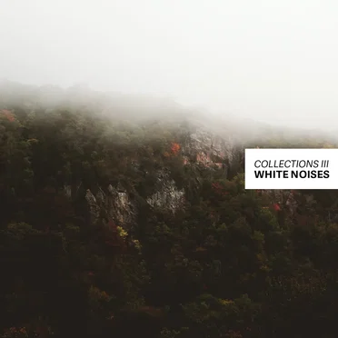 Collections III by White Noises - album cover