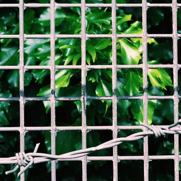 CXT005: With The Sonant