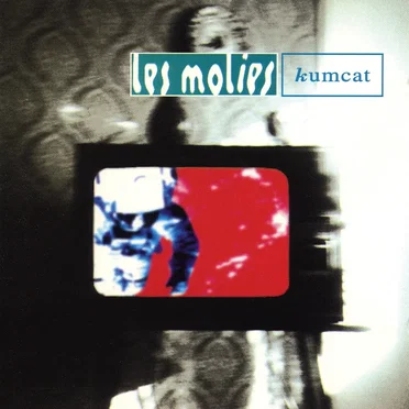 Kumcat