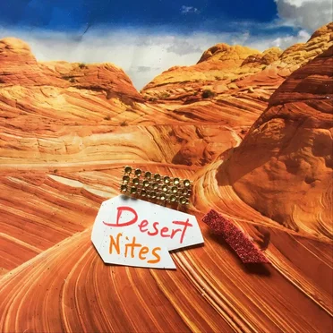 Desert Nites by Nan & The One Nite Stands - album cover