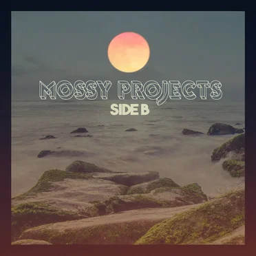 Vol. 1 Side B by Mossy Projects - album cover