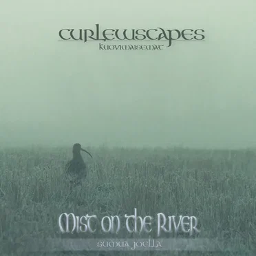 Curlewscapes - Mist on the River