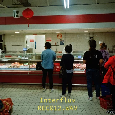 REC012.WAV by Interfluv - album cover