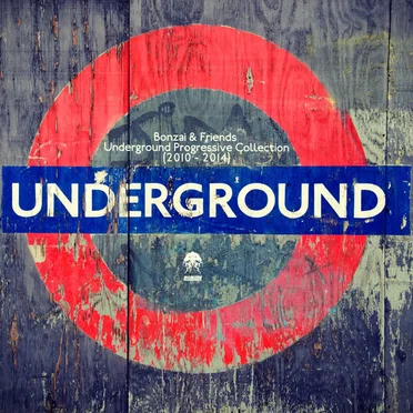 Bonzai & Friends: Underground Progressive Collection 2010-2014 by Various Artists - album cover