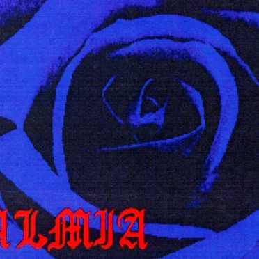 KALMIA