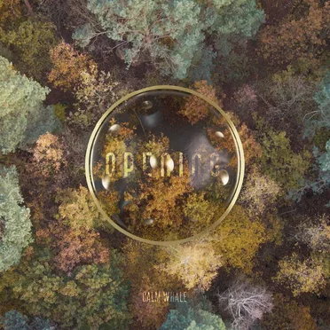 Opening - Hang Drum Journey by Calm Whale - album cover