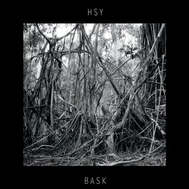 Bask by HSY - album cover