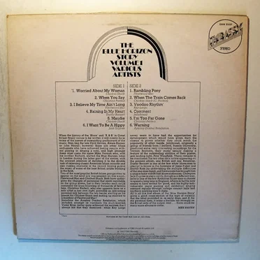 The Blue Horizon Story, Vol.1 by Various Artists - album cover