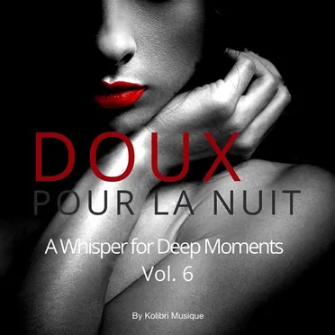 Doux Pour La Nuit, Vol. 6 by Various Artists - album cover