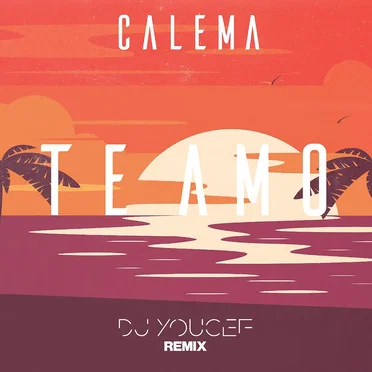 Te Amo (DJ Youcef Remix)