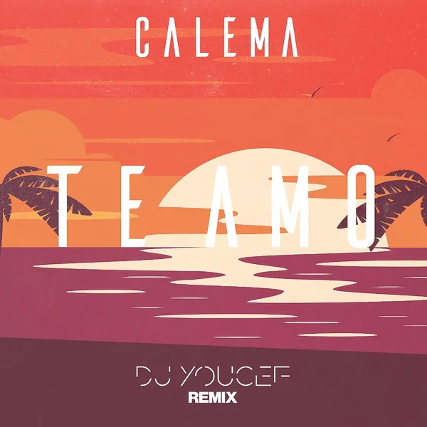 Te Amo (DJ Youcef Remix)