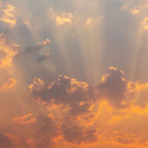 Der Himmel kann warten