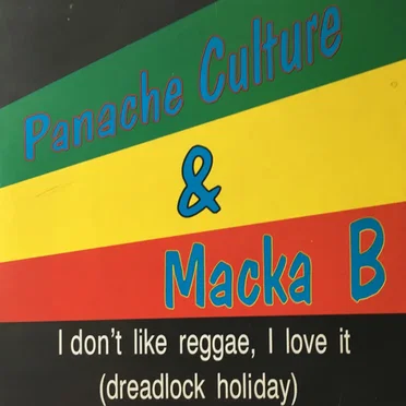 I Don't Like Reggae, I Love It