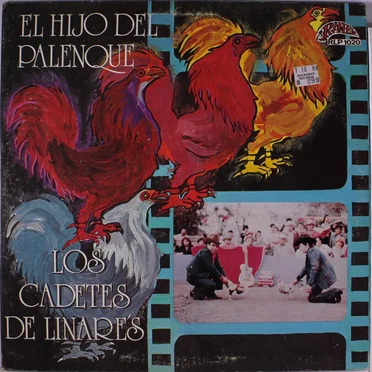 El hijo del palenque / 7