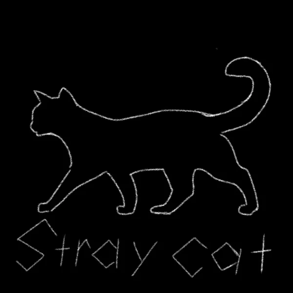 Stray Cat