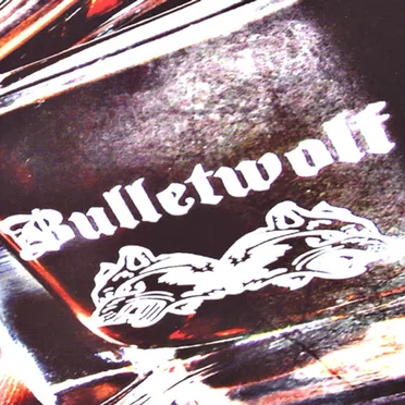 Double Shots of Rock and Roll by Bulletwolf - album cover