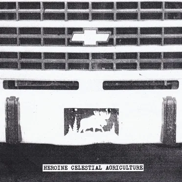 Econoline Native