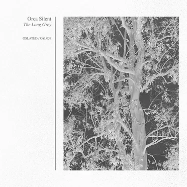 The Long Grey by Orca Silent - album cover