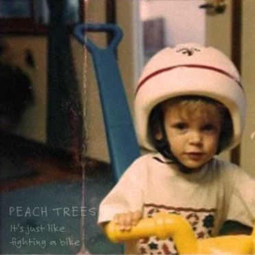Just Like Fighting A Bike by Peach Trees - album cover