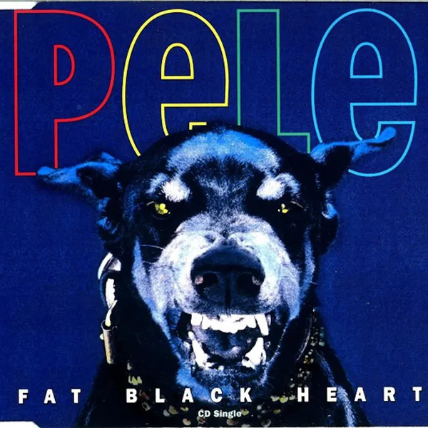 Fat Black Heart