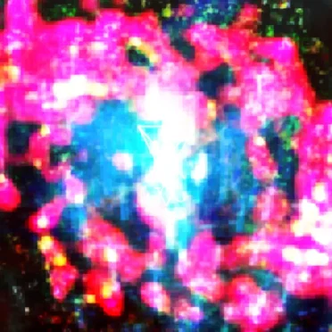 CCCXXIII