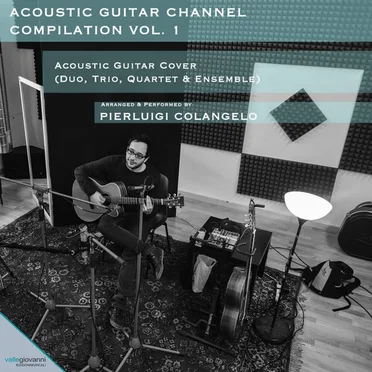 Acoustic Guitar Channel Compilation, Vol... 2 (Solo, Duo, Trio & Ensemble)