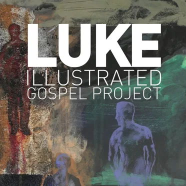 LUKE: Illustrated Gospel Project by Various Artists - album cover