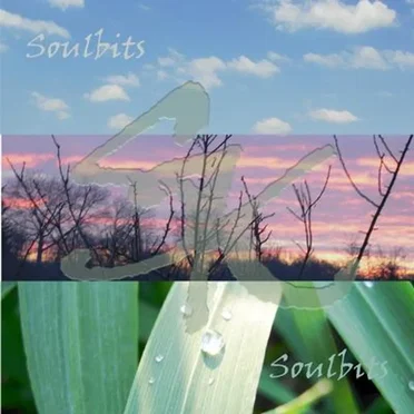 Soulbits