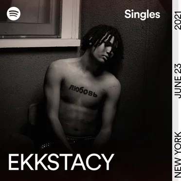 f*ck everything! - Spotify Singles