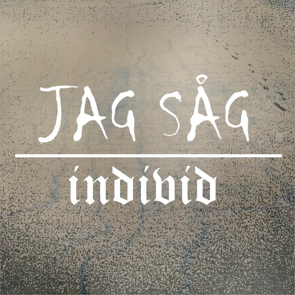 Jag såg