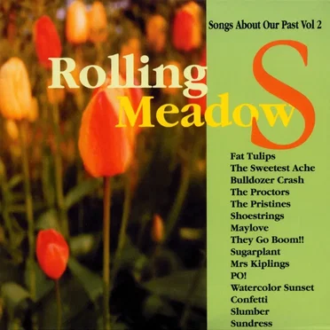 Rolling Meadows: Songs About Our Past, Vol 2 by Various Artists - album cover