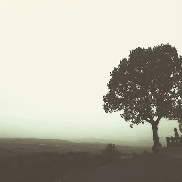 mist