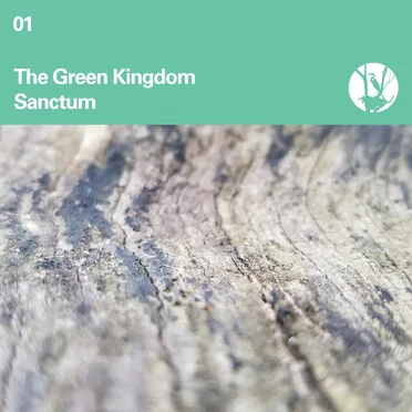 Sanctum by The Green Kingdom - album cover
