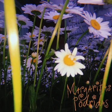Margaritas Podridas by Margaritas Podridas - album cover