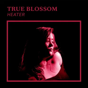 Heater by True Blossom - album cover