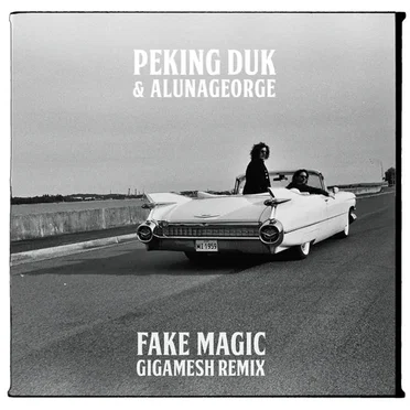 Fake Magic (Gigamesh remix)