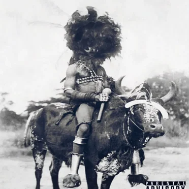 AFRICAN SAGA