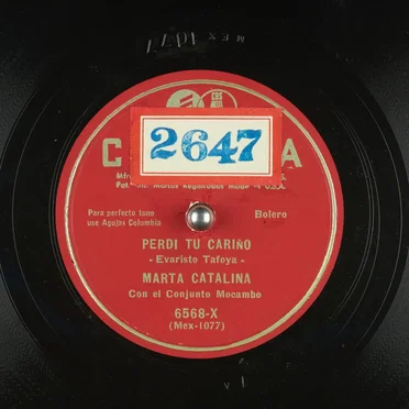 Perdí tu cariño / Ingratitid de amor