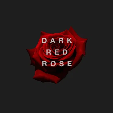 Dark Red Rose
