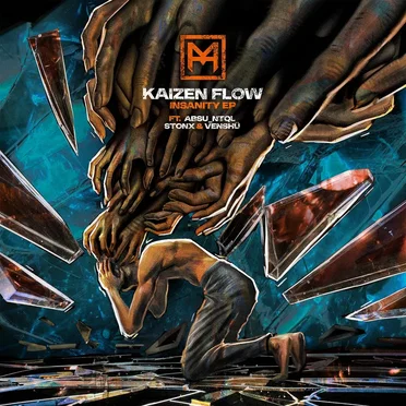 Insanity EP by Kaizen Flow - album cover