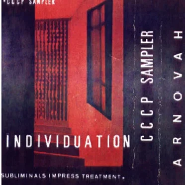 Individuation