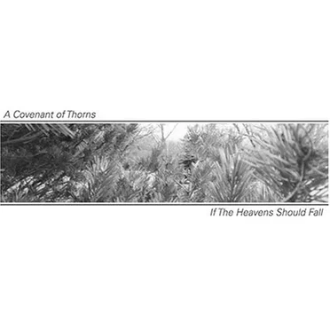 If the Heavens Should Fall by A Covenant of Thorns - album cover