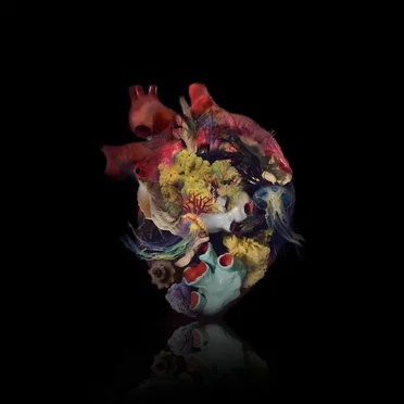 Revoir la mer by Denize - album cover