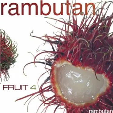 Fruit 4: Rambutan by Various Artists - album cover
