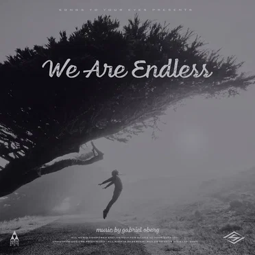 We Are Endless by Songs to Your Eyes - album cover