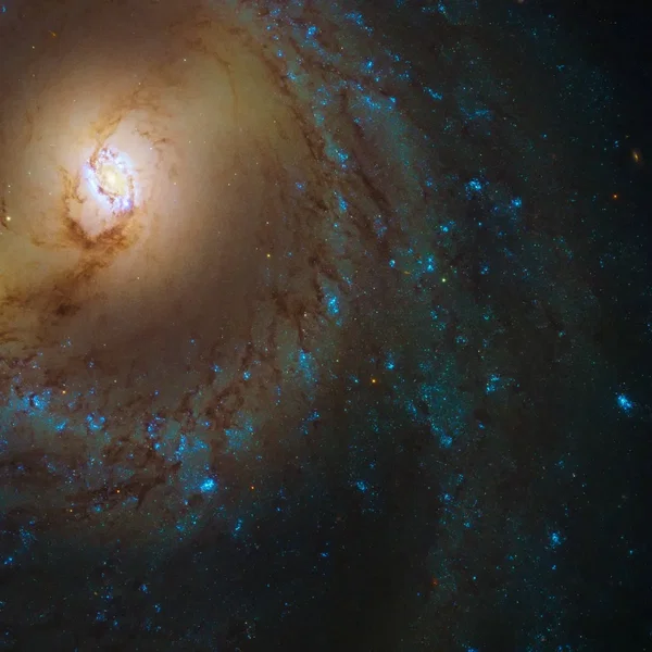 M95