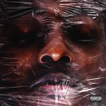 Body Bag 4 by Ace Hood - album cover
