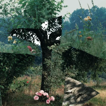SIMULACRA