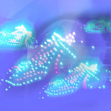 Tales From Trashed Albums