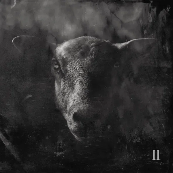 Black Sheep II